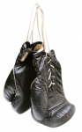 boxing_gloves